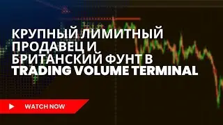 Поймать крупного лимитого продавца на британском фунте  с помощью TVT  #6B #фунт #TVT #platform