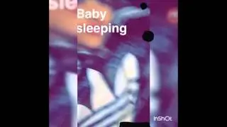 Rita Oras dog Cher snepchat