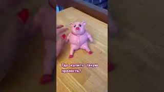 ГДЕ КУПИТЬ ТАКУЮ СВИНЮХУ?