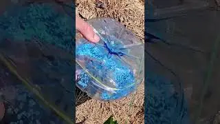 Slug Trap