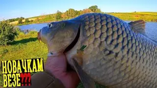 Кажуть, Що НОВАЧКАМ щастить!?😁 Вперше спробував та впіймав КОРОПА🐟 КОРОП та карась на Фідер