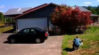 Catnapper Taking Cat Video Goes Viral, Cat Returns Home