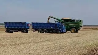 Уборка сои 2024
