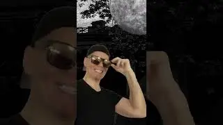 I Wear My Sunglasses At Nite | Dark Shadows Old House