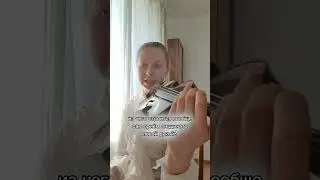 Скрипачам