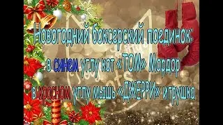 Новогодний боксерский поединок. Том и Джерри в жизни кот VS. мышь