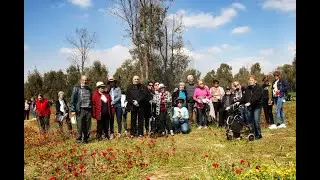 דרום אדום
