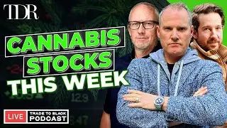 MSOS Monday: How Will Cannabis Stocks Perform This Week? I Trade To Black