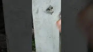 Штырь