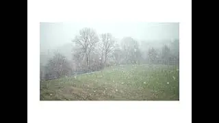 Красивый Снегопад #shorts #trending #tiktok