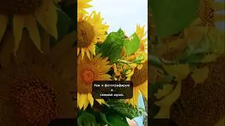 Сейчас мне нравится 🥰#муж#жена#юмор#мамавдекрете#шутки#фото#видео#сваты