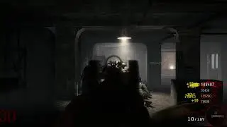 Nacht Der Untoten flawless 4 players/30 round WR