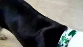 Look at me!