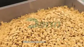 Amazing Food Processing Technology Natural Pet Food machine Core Pillow snack manufacturing line