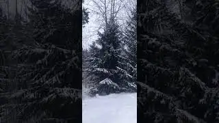 Suomi 28.12.2023