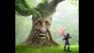 Le wise tree