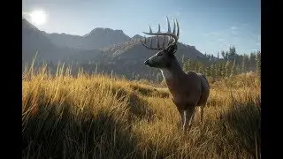 The Hunter, охота в Африке!