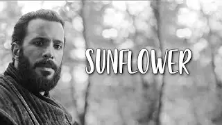 Turkish Multifandom || Sunflower