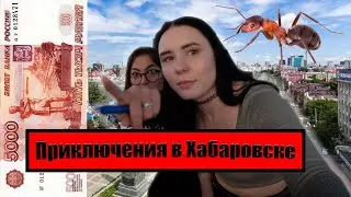 ДЕВОЧКИ ВЫЗЫВАЮТ ДЖИНА И ЕДЯТ МУРАВЬЕВ