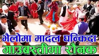 Bhailo 2081  गुल्मी अग्लुङको भैलोले जित्यो हजारौको मन Deusi Bhailo संस्कृतिले सजिएका पहाडका गाउबस्ती