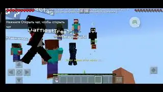 Играю на сервере the HIVE