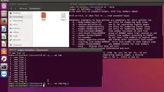 Linux command nl and command cat - commands for work with plain text files.
