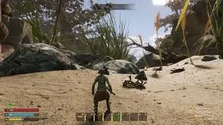 Best spot for flint, bark and stone! | Smalland: Survive the wilds
