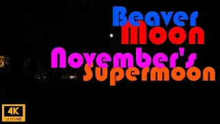 Beaver Moon November's Supermoon | 4K