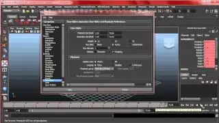 SGD 162 Chapter 2 Maya Animation Interface