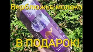 Что привезти из Дубая кроме шоколада?/Верблюжье молоко и сухофрукты!/Mitbringsel aus Dubai
