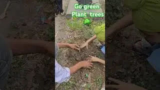 PLANT TREES ON YOUR BIRTHDAY🌳| New initiative taken on my birthday #viralshort #gogreen #planttrees