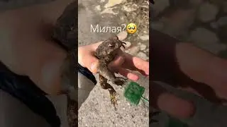 На верное нет..🥺