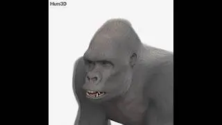 3D Model Gorilla HD at 3DExport.com