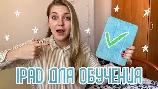 Как планшет изменил мою учёбу в УНИВЕРЕ | Notability, Canva, Notion