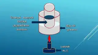 Experiments of Carbohydrate foods Grade 10 Science - Local syllabus-Tamil medium.