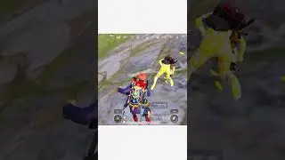THE YELLOW MUMMY SET 