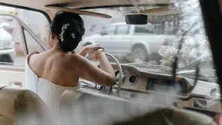 Willfreedo - I Love You Everyday (Official Music Video)