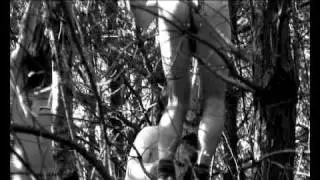 P A N A M E - by A. AVELLIS (bande annonce - trailer)