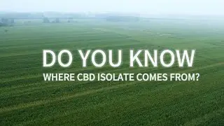 CBD ISOLATE from industrial hemp #cbdoilproducts #plantextracts #healthcare #wellness #beauty #cbd