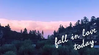 create your reality, fall in love today ✧