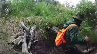 View rute turun slamet via bambangan | pos 7 - pos 5