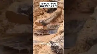 물레방아 아래서 우주선의 잔해 발견