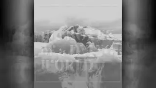 Berlin - If These Trees Could Talk