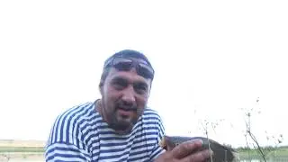 Отличный клев сазана на день рождения