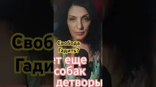 В чем Виноват Дуров #политика #путин #дуров #сво #башкортостан  #новости @BagiAmerica #shorts