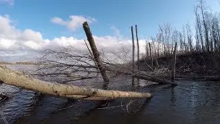 НИКТО НЕ ОЖИДАЛ, ЧТО КЛЮНЕТ ТАКОЙ МОНСТР!