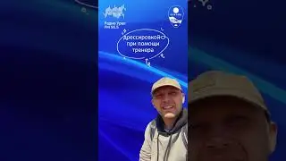 Не смогли договориться с собакой сами - ищите тренера 
