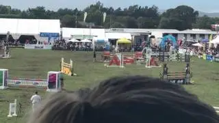[IRL] - Horse of The Year 2017 (vlog thing)