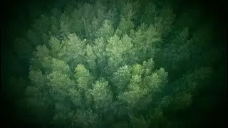 ERIK WØLLO : PEACEFUL MIND