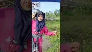Kehidupan gadis desa - Cara menggunakan garpu lencog